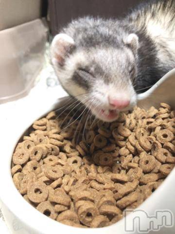 上越デリヘルHONEY(ハニー)しんく(♪♪)(29)の2020年11月21日写メブログ「雑談☆。.:」