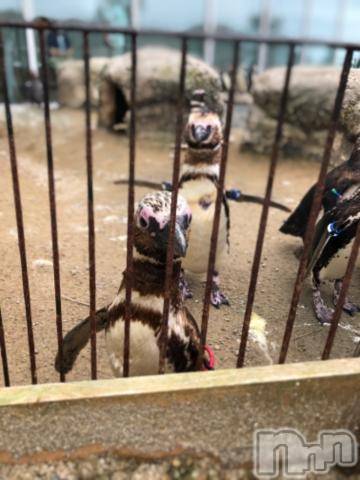 上越デリヘルHONEY(ハニー)しんく(♪♪)(29)の2020年12月20日写メブログ「退勤(´?`＊)」