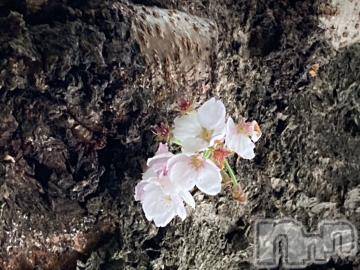 上越デリヘルHONEY(ハニー)しんく(♪♪)(29)の2021年4月21日写メブログ「退勤♪」