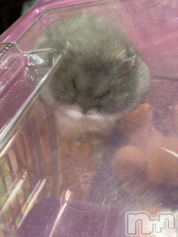 上越デリヘルHONEY(ハニー)しんく(♪♪)(29)の2021年7月27日写メブログ「退勤しました?.*?」