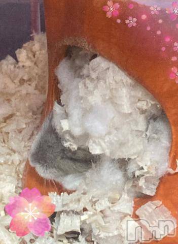 上越デリヘルHONEY(ハニー)しんく(♪♪)(29)の2022年10月27日写メブログ「退勤✩.*˚」