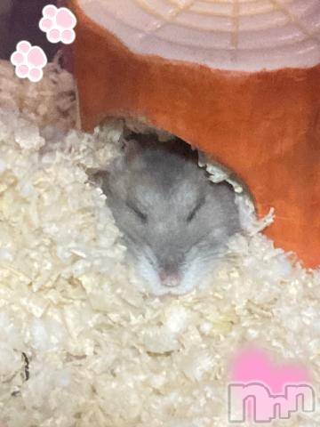 上越デリヘルHONEY(ハニー)しんく(♪♪)(29)の2022年11月26日写メブログ「退勤したよ✩.*˚」