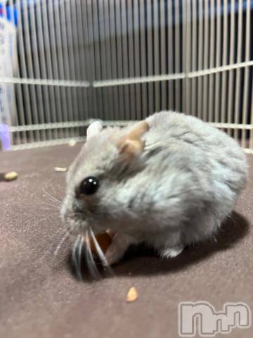 上越デリヘルHONEY(ハニー)しんく(♪♪)(29)の2023年2月22日写メブログ「退勤♪」