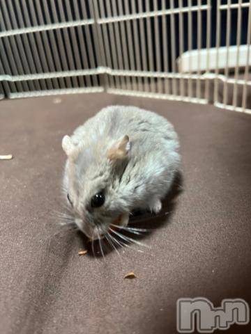 上越デリヘルHONEY(ハニー)しんく(♪♪)(29)の2023年2月25日写メブログ「退勤♪」