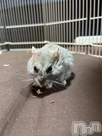 上越デリヘルHONEY(ハニー)しんく(♪♪)(29)の2023年2月28日写メブログ「退勤✩.*˚」