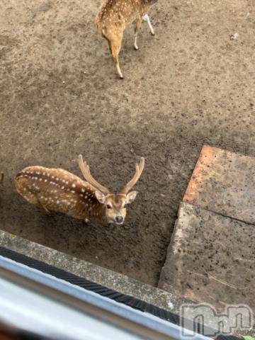 上越デリヘルHONEY(ハニー)しんく(♪♪)(29)の2023年5月5日写メブログ「退勤✩.*˚」