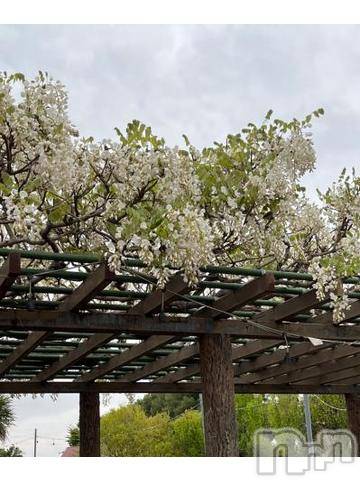 上越デリヘルHONEY(ハニー)しんく(♪♪)(29)の2023年5月8日写メブログ「退勤✩.*˚」