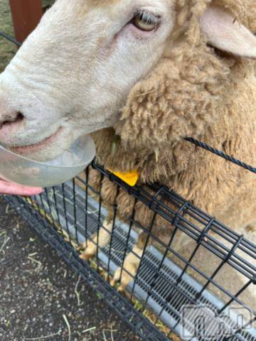 上越デリヘルHONEY(ハニー)しんく(♪♪)(29)の2023年5月12日写メブログ「退勤✩.*˚」