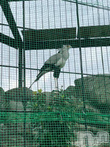 上越デリヘルHONEY(ハニー)しんく(♪♪)(29)の2023年6月4日写メブログ「退勤✩.*˚」