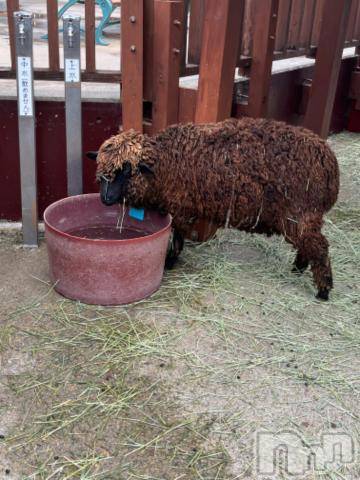 上越デリヘルHONEY(ハニー)しんく(♪♪)(29)の2023年7月5日写メブログ「退勤✩.*˚」