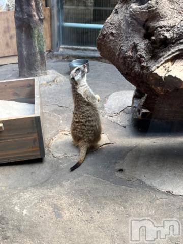 上越デリヘルHONEY(ハニー)しんく(♪♪)(29)の2023年9月5日写メブログ「退勤✩.*˚」