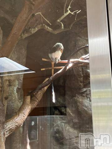 上越デリヘルHONEY(ハニー)しんく(♪♪)(29)の2023年9月6日写メブログ「退勤✩.*˚」