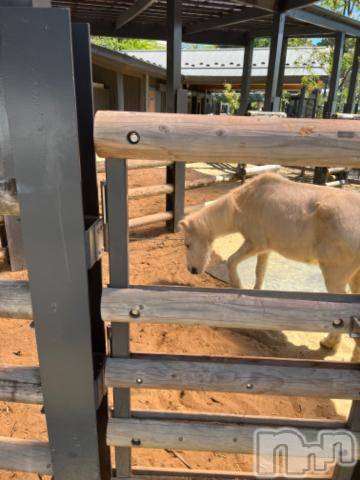 上越デリヘルHONEY(ハニー)しんく(♪♪)(29)の2023年9月10日写メブログ「退勤✩.*˚」