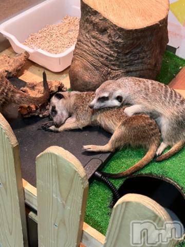 上越デリヘルHONEY(ハニー)しんく(♪♪)(29)の2023年10月8日写メブログ「退勤✩.*˚」