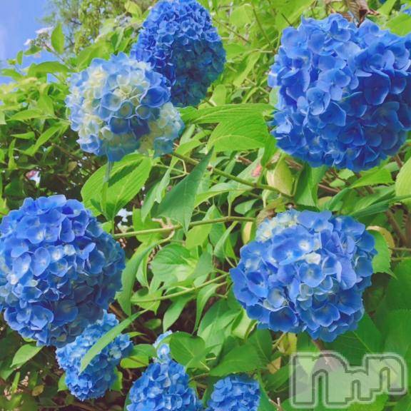 上越デリヘルHONEY(ハニー)しんく(♪♪)(29)の2024年12月30日写メブログ「わぁぁぁ:( ;´ロ`;):」