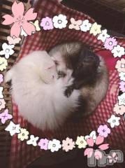 上越デリヘルHONEY(ハニー) しんく(♪♪)(29)の6月15日写メブログ「出勤だよー♪」