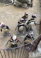 上越デリヘルHONEY(ハニー) しんく(♪♪)(29)の8月23日写メブログ「退勤です♪」