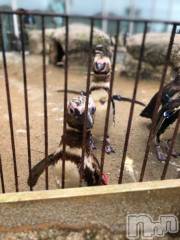 上越デリヘルHONEY(ハニー) しんく(♪♪)(29)の8月24日写メブログ「ありがとうございました♪」