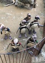 上越デリヘルHONEY(ハニー) しんく(♪♪)(29)の10月25日写メブログ「退勤♪」