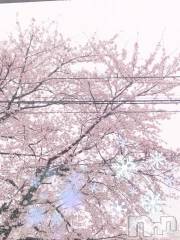 上越デリヘルHONEY(ハニー) しんく(♪♪)(29)の11月10日写メブログ「今月の予定は？」