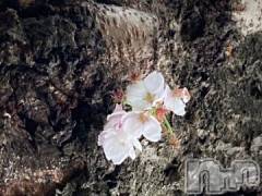 上越デリヘルHONEY(ハニー) しんく(♪♪)(29)の4月21日写メブログ「退勤♪」