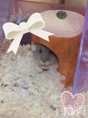 上越デリヘルHONEY(ハニー) しんく(♪♪)(29)の10月27日写メブログ「退勤☆*°」