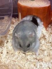 上越デリヘルHONEY(ハニー) しんく(♪♪)(29)の11月26日写メブログ「退勤?.*?」