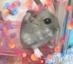 上越デリヘルHONEY(ハニー) しんく(♪♪)(29)の12月23日写メブログ「退勤?.*?」