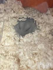 上越デリヘルHONEY(ハニー) しんく(♪♪)(29)の7月23日写メブログ「退勤?.*?」