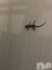 上越デリヘルHONEY(ハニー) しんく(♪♪)(29)の8月27日写メブログ「退勤?.*?」