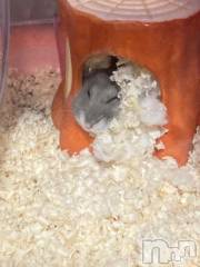 上越デリヘルHONEY(ハニー) しんく(♪♪)(29)の8月30日写メブログ「退勤したよ?.*?」