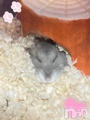 上越デリヘルHONEY(ハニー) しんく(♪♪)(29)の11月23日写メブログ「退勤したよ✩.*˚」