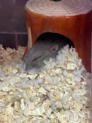 上越デリヘルHONEY(ハニー) しんく(♪♪)(29)の2月23日写メブログ「退勤✩.*˚」