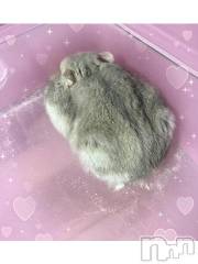 上越デリヘルHONEY(ハニー) しんく(♪♪)(29)の2月26日写メブログ「退勤✩.*˚」