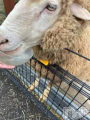 上越デリヘルHONEY(ハニー) しんく(♪♪)(29)の5月12日写メブログ「退勤✩.*˚」