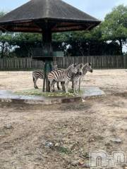 上越デリヘルHONEY(ハニー) しんく(♪♪)(29)の5月26日写メブログ「退勤✩.*˚」