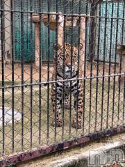 上越デリヘルHONEY(ハニー) しんく(♪♪)(29)の6月8日写メブログ「退勤✩.*˚」