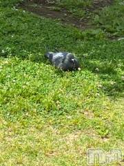 上越デリヘルHONEY(ハニー) しんく(♪♪)(29)の6月27日写メブログ「退勤✩.*˚」