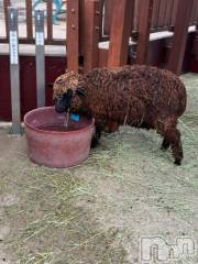 上越デリヘルHONEY(ハニー) しんく(♪♪)(29)の7月5日写メブログ「退勤✩.*˚」