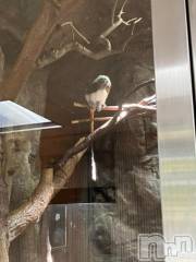 上越デリヘルHONEY(ハニー) しんく(♪♪)(29)の9月6日写メブログ「退勤✩.*˚」