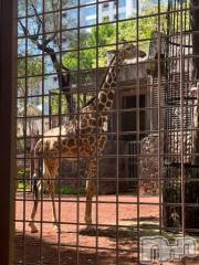 上越デリヘルHONEY(ハニー) しんく(♪♪)(29)の9月8日写メブログ「退勤✩.*˚」