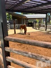 上越デリヘルHONEY(ハニー) しんく(♪♪)(29)の9月9日写メブログ「退勤♪」