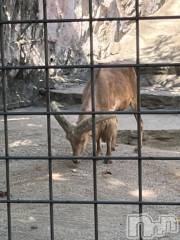 上越デリヘルHONEY(ハニー) しんく(♪♪)(29)の9月27日写メブログ「退勤✩.*˚」