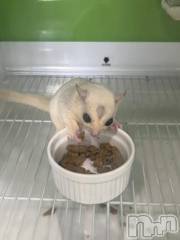 上越デリヘルHONEY(ハニー) しんく(♪♪)(29)の10月9日写メブログ「退勤✩.*˚」