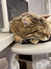 上越デリヘルHONEY(ハニー) しんく(♪♪)(29)の4月13日写メブログ「退勤✩.*˚」