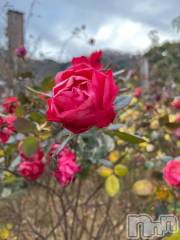 上越デリヘルHONEY(ハニー) しんく(♪♪)(29)の1月19日写メブログ「☆告知★」