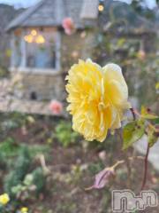 上越デリヘルHONEY(ハニー) しんく(♪♪)(29)の1月29日写メブログ「退勤✩.*˚」