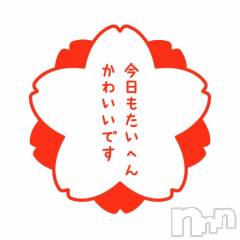 上越デリヘルHONEY(ハニー) しんく(♪♪)(特別料金)(29)の4月1日写メブログ「☆告知★」