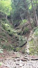 上越デリヘルHONEY(ハニー) しんく(♪♪)(29)の5月29日写メブログ「☆お知らせ★」