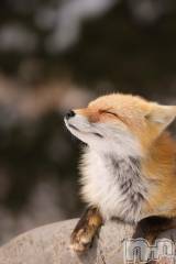 上越デリヘルHONEY(ハニー) しんく(♪♪)(29)の10月14日写メブログ「☆おしらせ★」